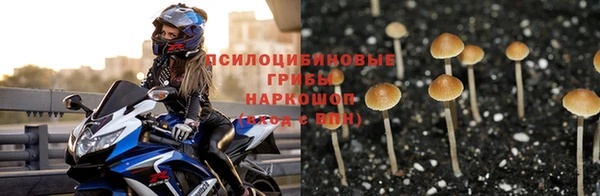 spice Белоозёрский