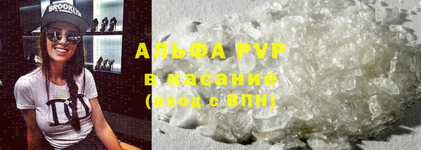 мяу мяу мука Белокуриха