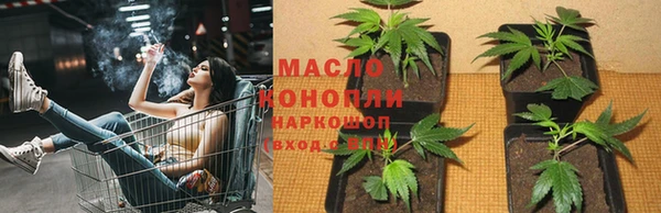 мяу мяу мука Белокуриха